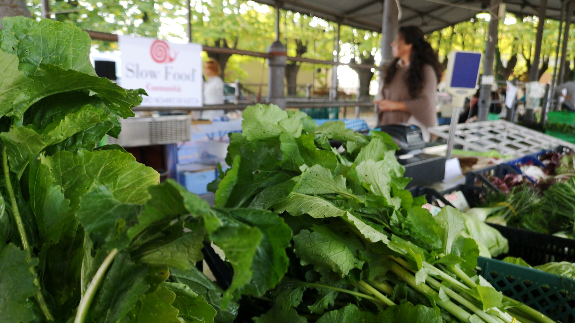 Markttag am Foro Boario in Lucca