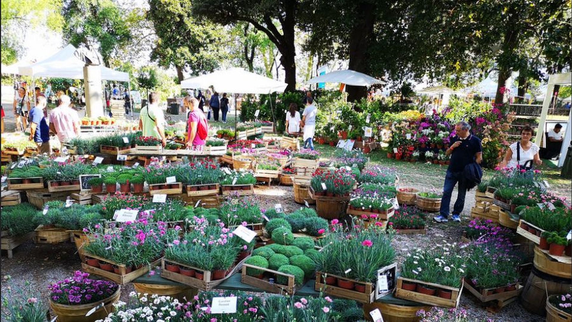 Murabilia Mura in fiore auf den Stadtmauern von Lucca