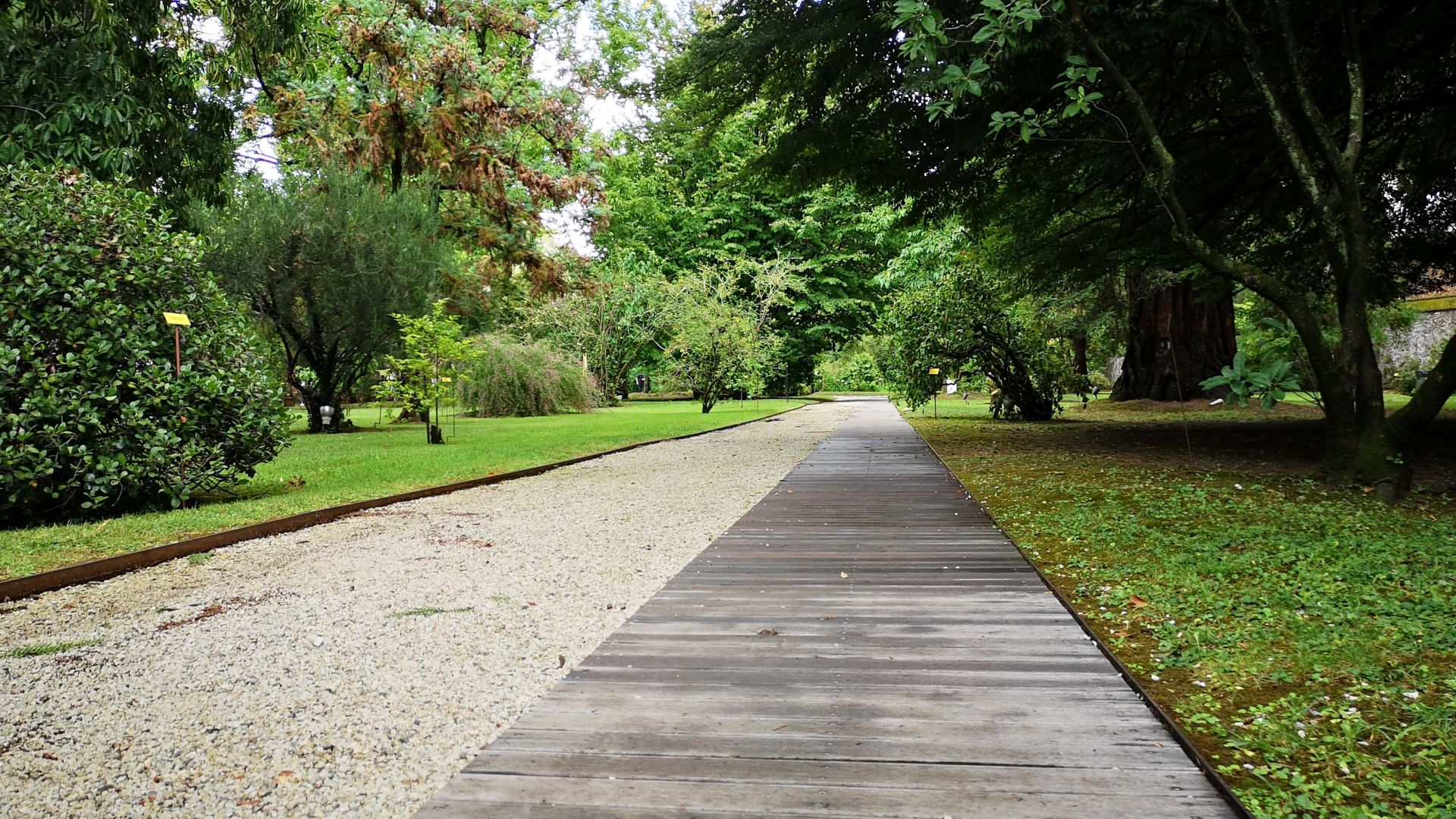 pavement pietonne au jardin botanique de lucca