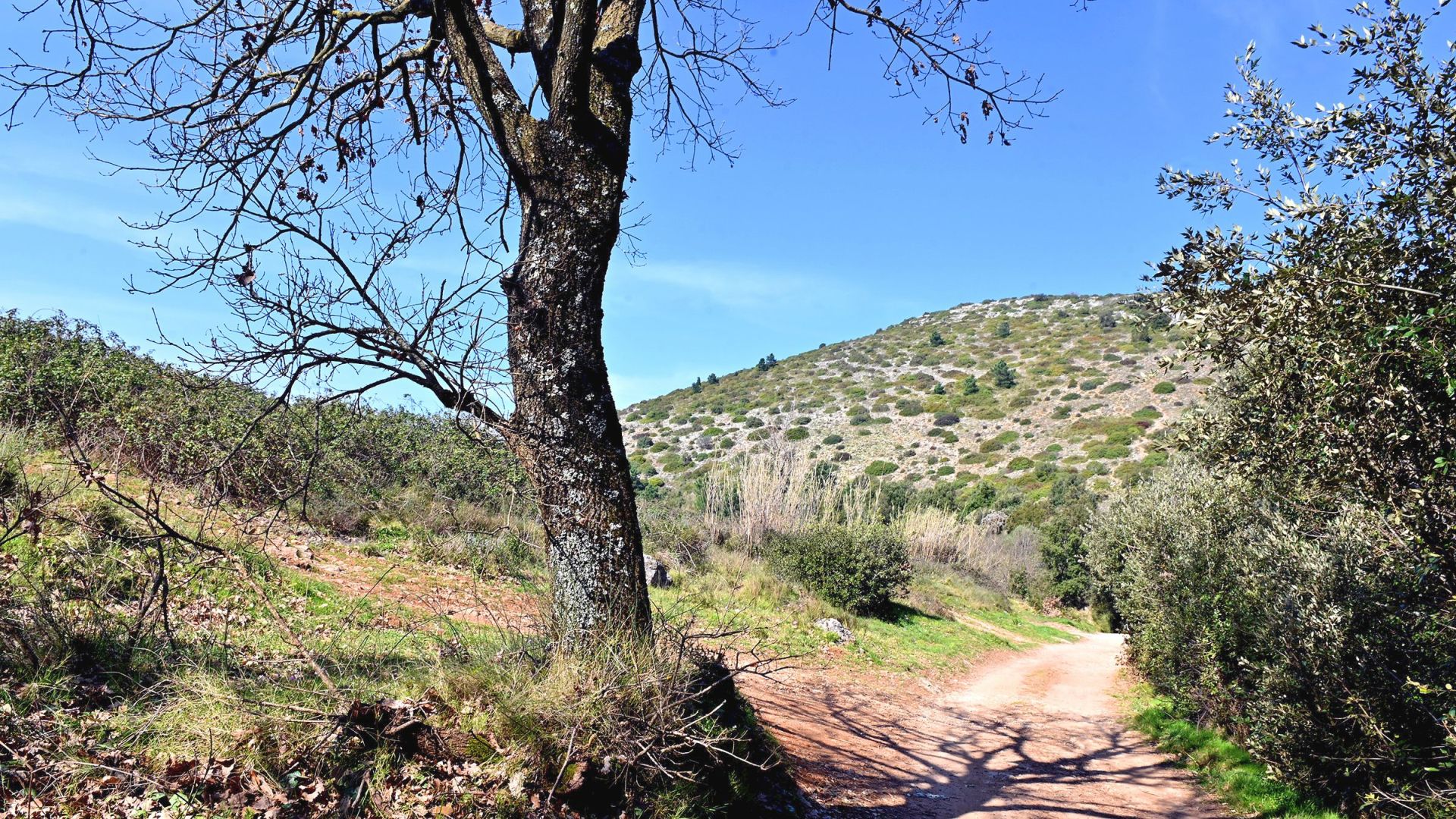 chemin sur le Monte Pisano pres de lucca