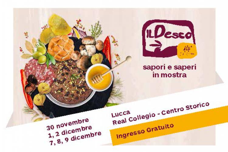 locandina desco lucca