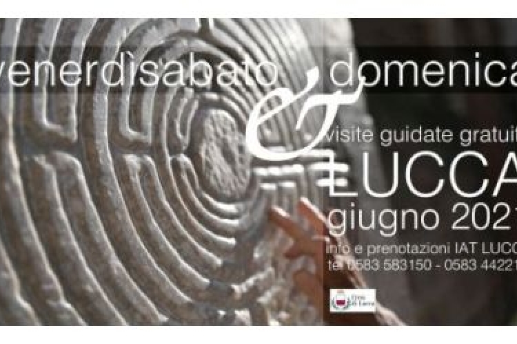 Foto locandina: particolare del labirinto della Cattedrale di Lucca