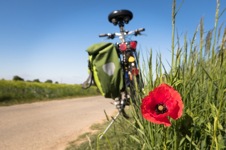 pasquetta in bicicleta a Lucca