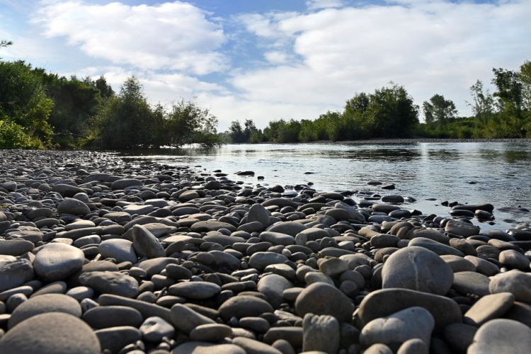 serchio river banks near Lucca
