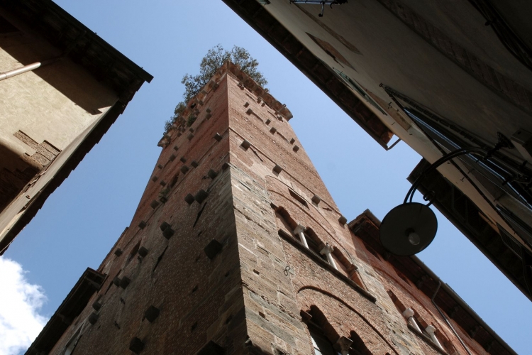 Torre Guinigi a Lucca