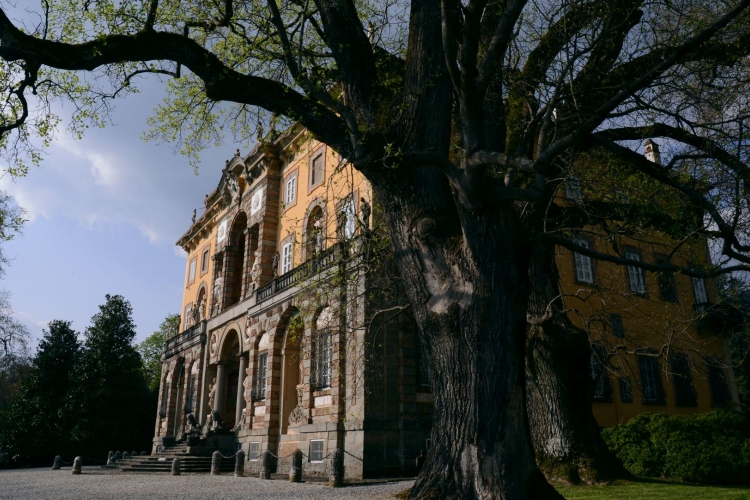 villa torrigiani camigliano lucca