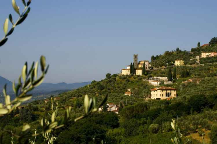 The hills around Lucca