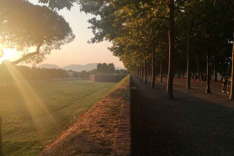 the wall of Lucca in autumn