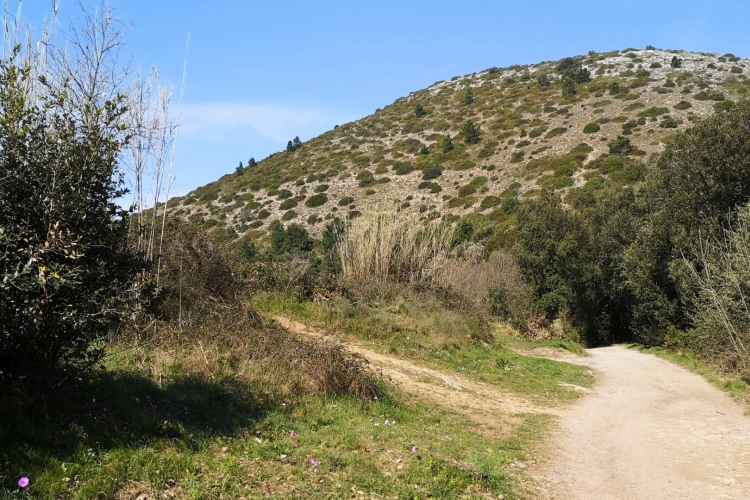 pas de Dante sur le Monte Pisano