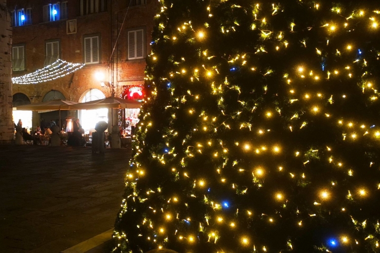  le sapin de Noël de la place Saint-Michel