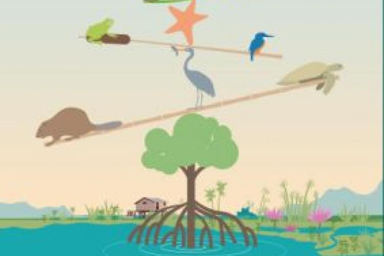 World wetland day affiche 2020