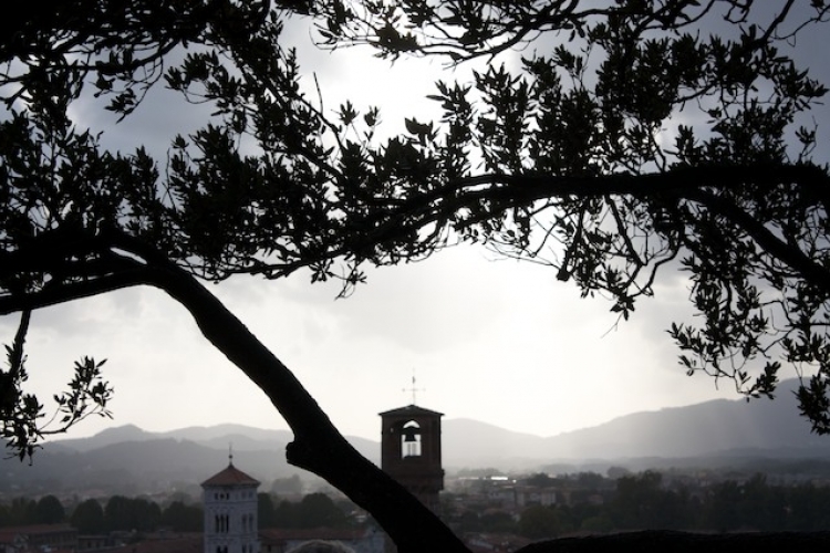 couche de soleil vue de la tour guinigi di lucca