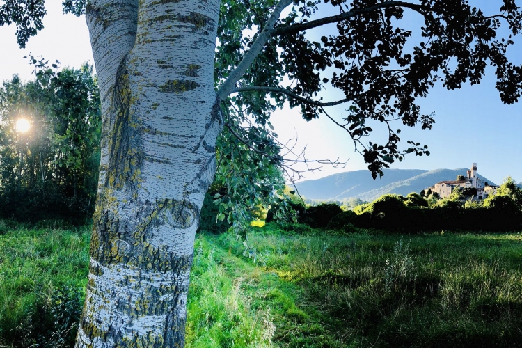 vista del castello di nozzano da un sentiero di campagna