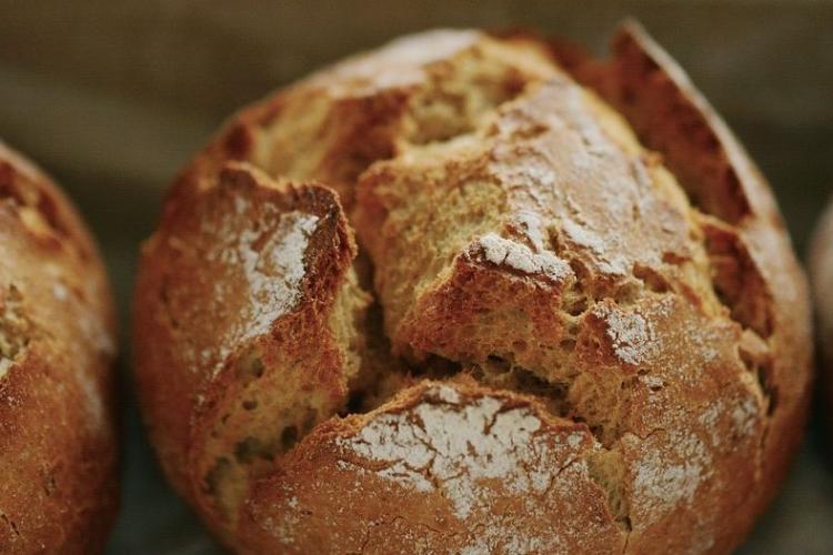 Pane appena sfornato cibo per i pellegrini