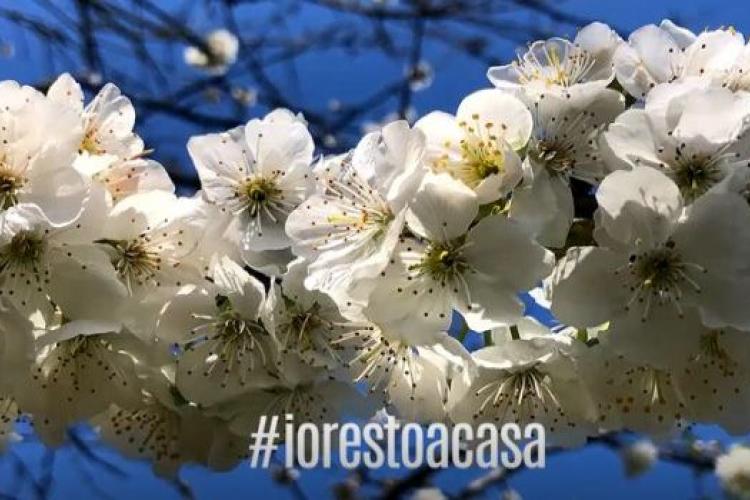 A Pasqua 2020 #iorestoacasa