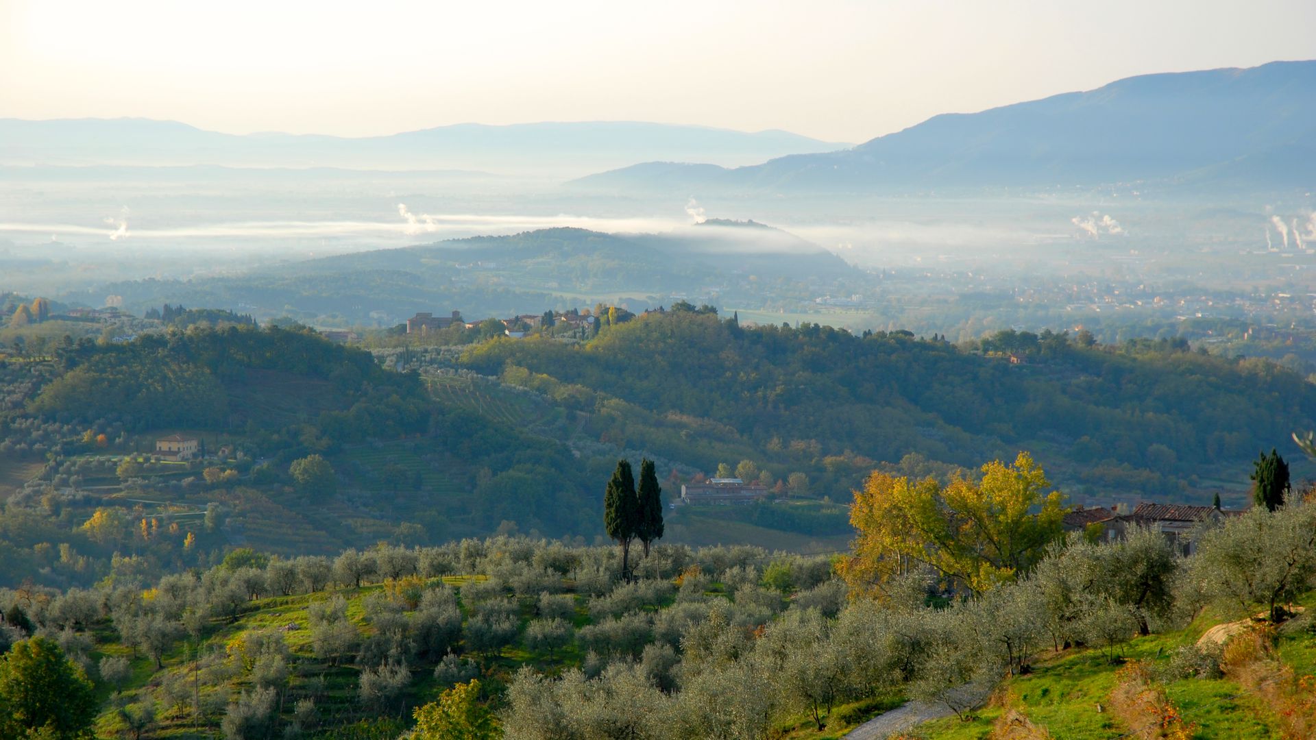 colline lucchesi